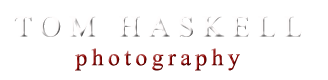 Insert Logo Here